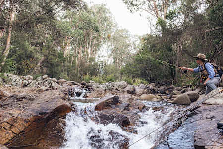 Un pescador arroja la caña en un arroyo en Australia.