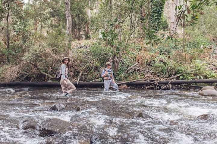 Dos personas se mueven por el río mientras practican la pesca con mosca en Australia.