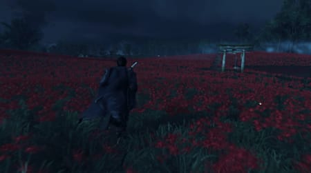 El Campo de Flores del Equinoccio en Ghost of Tsushima.