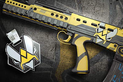 Art of the Vitality skin in-game in Rainbow Six Siege.