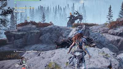 Use stealth and traps to take out enemies