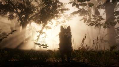 Screenshot of Red Dead Redemption 2 showing a wolf in the woods.