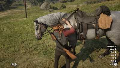 Screenshot of Red Dead Redemption 2