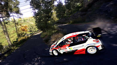 A screenshot from WRC 9.