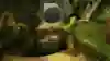 Action from Crash Bandicoot N.Sane Trilogy for Switch.