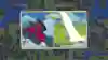 A screenshot of a battle in Wargroove