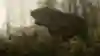Screenshot of a bear in Red Dead Redemption 2.