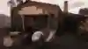 A screenshot of a stable from Red Dead Redemption 2