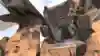 A shot of Bloodhound from Apex Legends