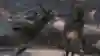 強力なプレッシャーをかけてくる鬼刑部