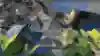 Breeze map gameplay in VALORANT