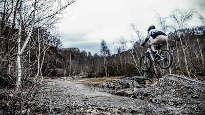Forest of Dean