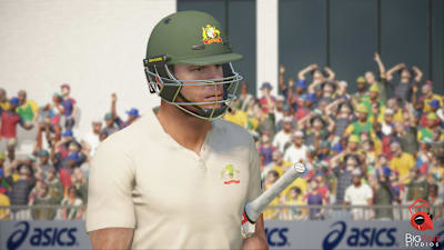 Ashes Cricket 2017
