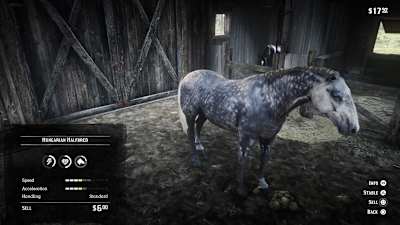 Selling horses is an easy way to make money