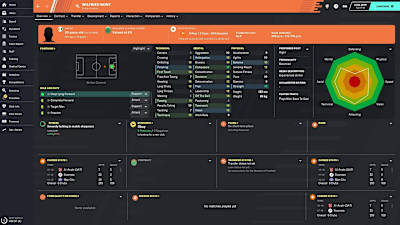 Wilfried Bony brings a strong physical presence for your team