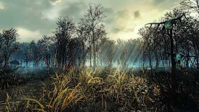 Eine Sumpflandschaft aus Witcher 3