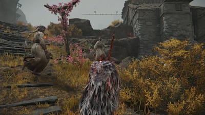 村人たちも楽しそうだが…