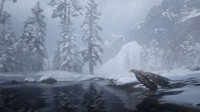 Screenshot aus Red Dead Redemption 2 zeigt einen Adler am See im Winter. 