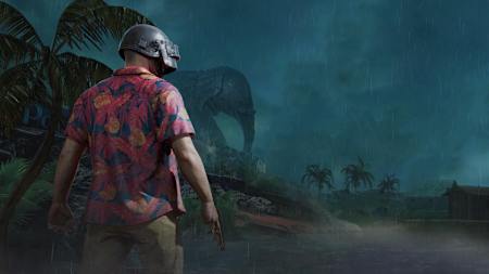 In PUBG you can customize your character heavily