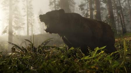 Screenshot of a bear in Red Dead Redemption 2.
