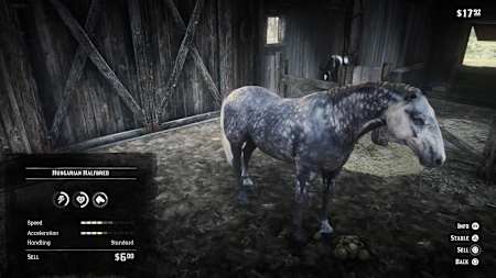 Selling horses is an easy way to make money