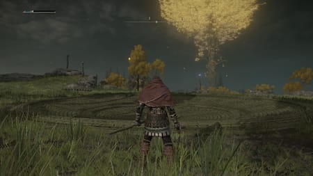 Eine Struktur aus Steinen, umringt von steinernen Schlangen