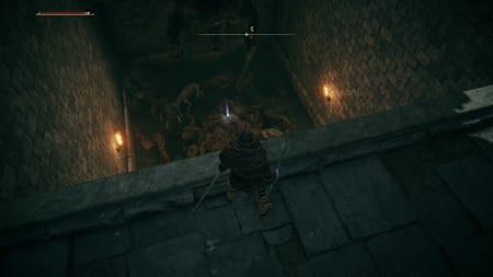 Eine Grube mit zwei Hunden und einem Gegenstand