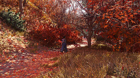 Im Hersbt ist die Anlage des Kiyomizu-dera besonders schön