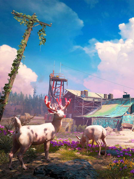 Far Cry New Dawn
