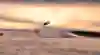 Wakeboarder Dominik Hernler filming Frozen Lake Wake in Sweden.