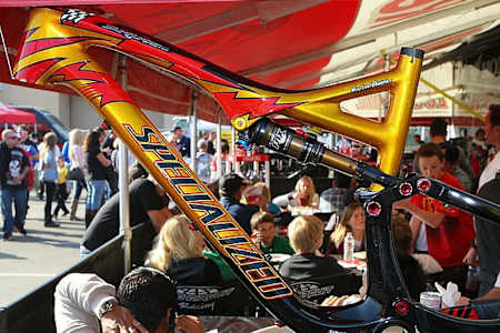 Custom Bike Specialized stump jumper