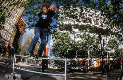 Peace Park Shred