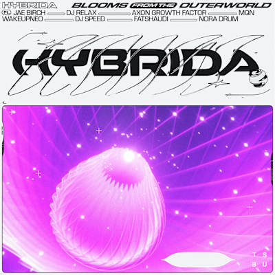 Hybrida 2020 compilation album cover.