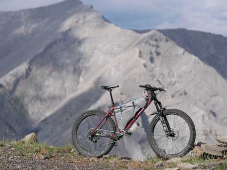 DaamBuilt custom build