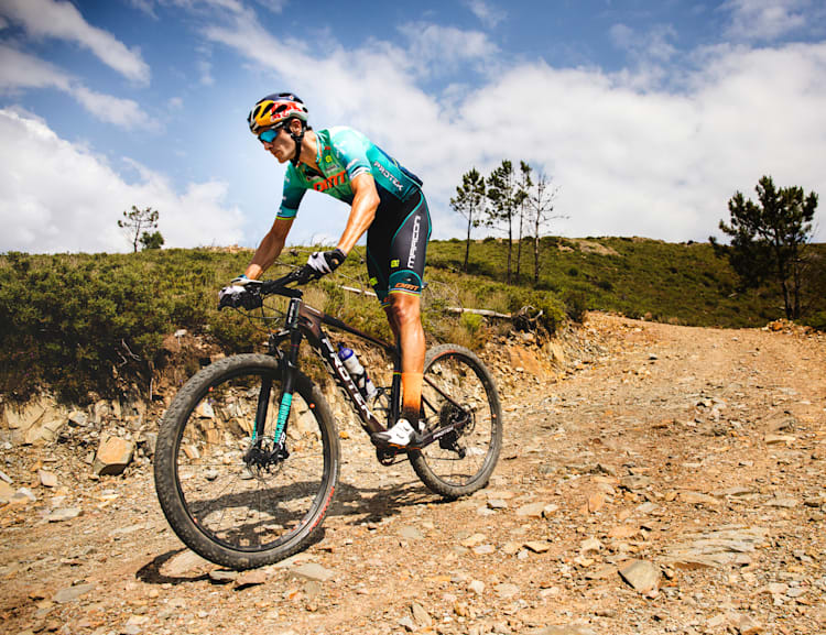 Ferreira bike clearance