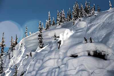 ダンカン・アダムズ