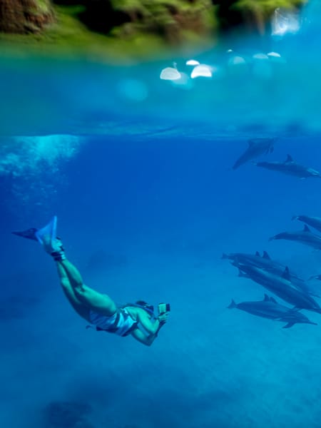 Yana Vaz mergulhando com golfinhos