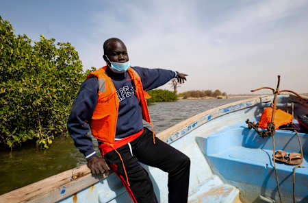 Senegalese fisherman Abdou Karim Sall surveys the mangrove swamps in his pirogue.