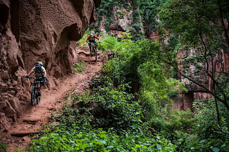 Parque Nacional de Calilegua