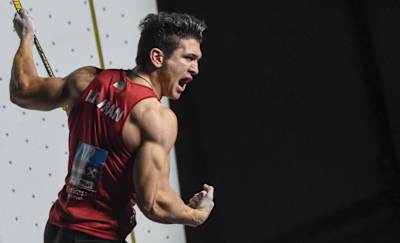 Reza, la fameuse panthère