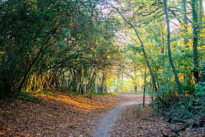 La Vallée de Chevreuse est un coin idéal pour dénicher de bons parcours de gravel.