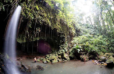 People stand next to Emerald Waterfall in Dominica.
