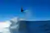 Connor O’Leary aerial surfing at Cronulla
