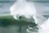 Kanoa Igarashi performs a big turn while surfing in South Africa.