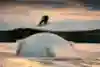 Wakeboarder Felix Georgii in action filming Frozen Lake Wake in Sweden.