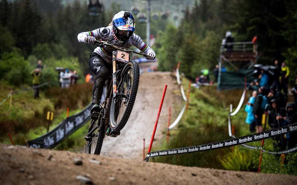 uci dh rankings