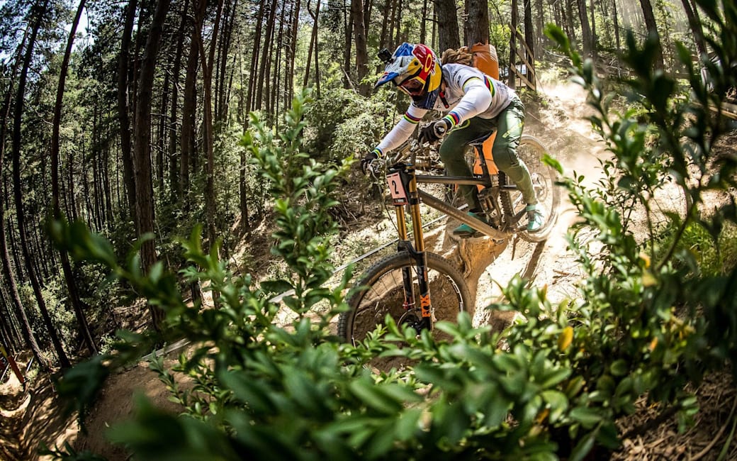 uci dh qualifying