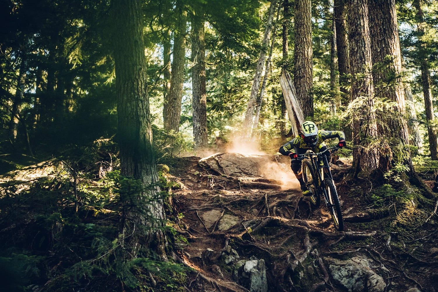 How to ride roots 5 top tips for mountain bikers