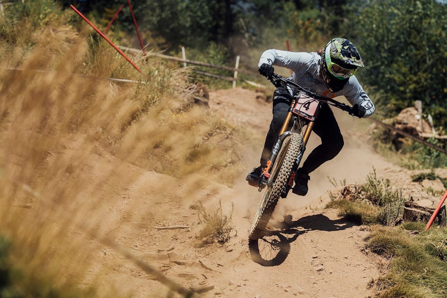 Dh world championships 2019 online