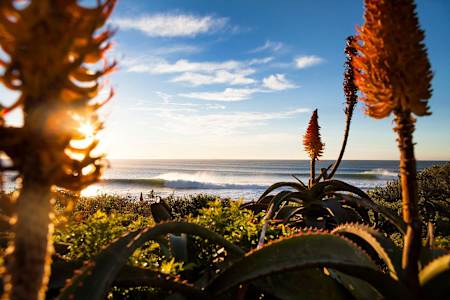 Perfect waves break at Jeffreys Bay surf spot in South Africa in a shot by renowned surf photographer Pat Stacy